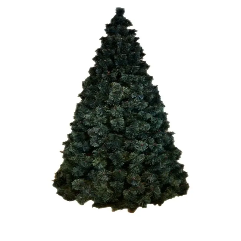 Arbol Verona 3mts